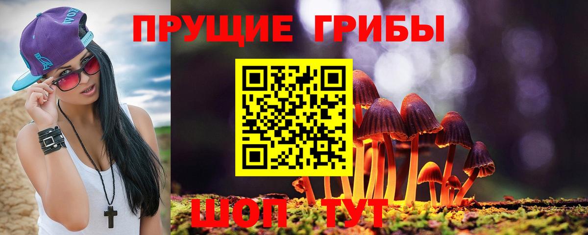 Псилоцибиновые грибы прущие грибы Богородск