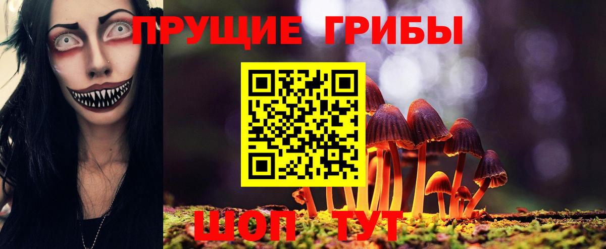 Галлюциногенные грибы Psilocybe  Вход с VPN  купить наркотик  Богородск 